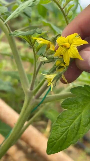 24 января 2025 г. смотреть онлайн