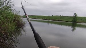 РЫБАЛКА НА КАРПА В МАЕ. РАЗЛОВИЛ НОВУЮ ОСНАСТКУ.