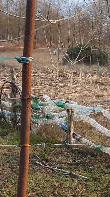 #Инновация #Забор из #Бутылка #Илон #Маск отдыхает ! #те? смотреть онлайн