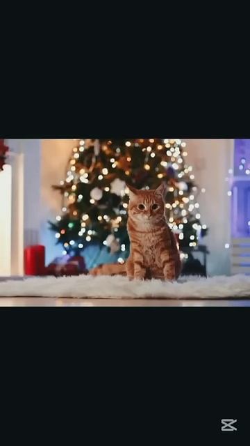 Старалась#песня#пою#певица#sia#snowman#shorts#shortvideo#winter#newyear#но смотреть онлайн