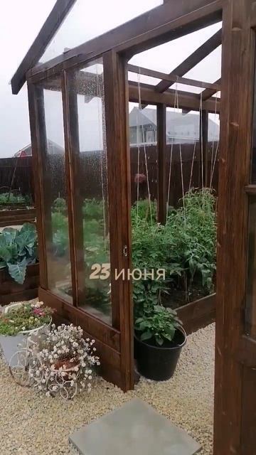 Летний дождь. #дождь #огород #greenhouse #ландшафтный_дизайн смотреть онлайн