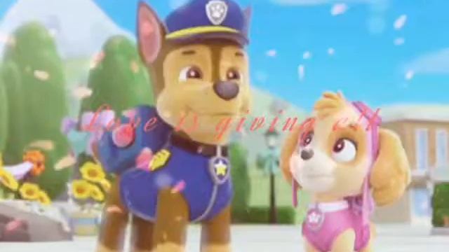 Chase x Skye💝гонщик и скай💟 смотреть онлайн