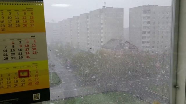 Летний. Снежок