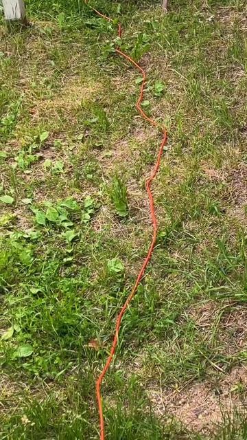 Супер помощник🤗Спина отдыхает😊 #рек #садиогород #ог? смотреть онлайн