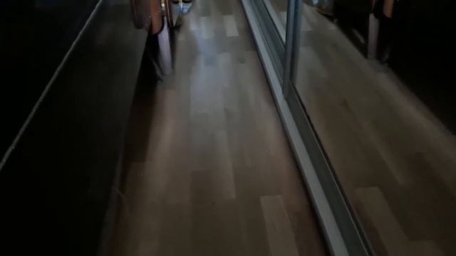 Поиск кошки по звуку.
