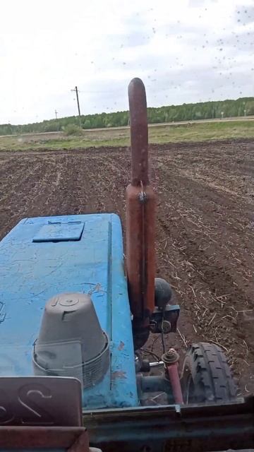 Посевная 2023, день 1 смотреть онлайн