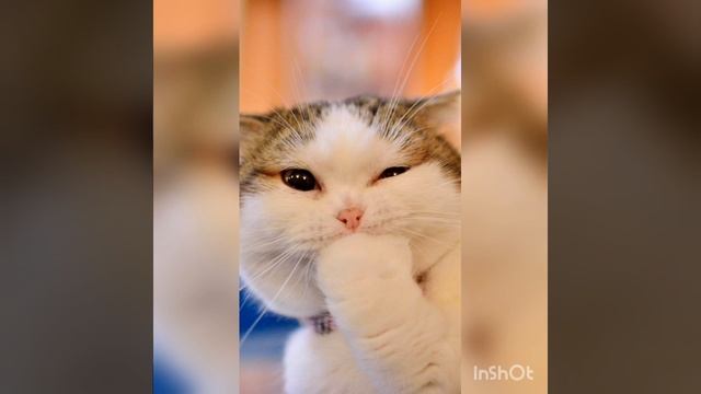 крутые фотки~2~ смотреть онлайн