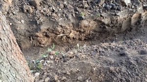 Скважинный адаптер и незамерзающий кран-гидрант. обус