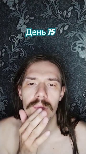 УСЫ День 75 #mustache #усы #усач #усик смотреть онлайн