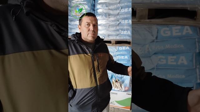 Качественные семена люцерны — основа вашего успеха и смотреть онлайн