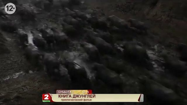 Книга джунглей смотреть онлайн