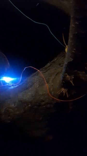 Дом на дереве смотреть онлайн