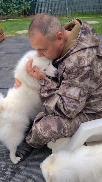 питомник Цунени Катцу Японский шпиц