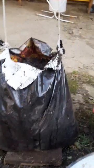 выращивают огурцы по новому #новости #рек #рекомендаци смотреть онлайн