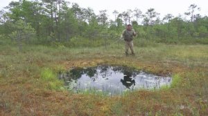 Так не бывает. Маленькие лужи кишат крупной рыбой.