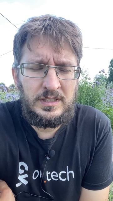 #itферма #картошка #фитофтора #горчица #фацелия #пчелы смотреть онлайн