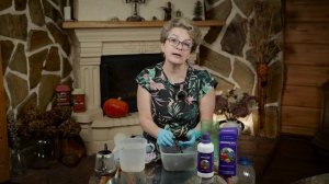 Как сохранить флоксы до посадки