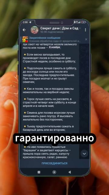 Календарь посадок на весну оставила в описании профил смотреть онлайн