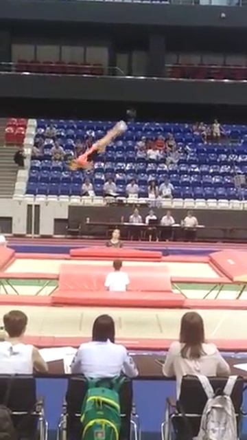 Первенство ЮФО Краснодар батутный спорт