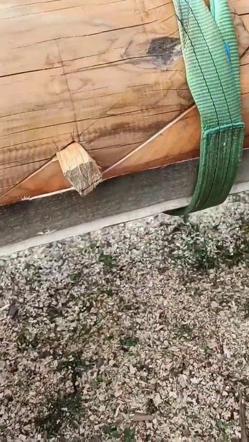 Автонавес или беседка из толстых брëвен #postandbeam #матуш? смотреть онлайн