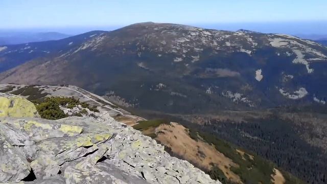 Велика Сивуля