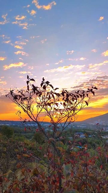 Сентябрьский рассвет смотреть онлайн
