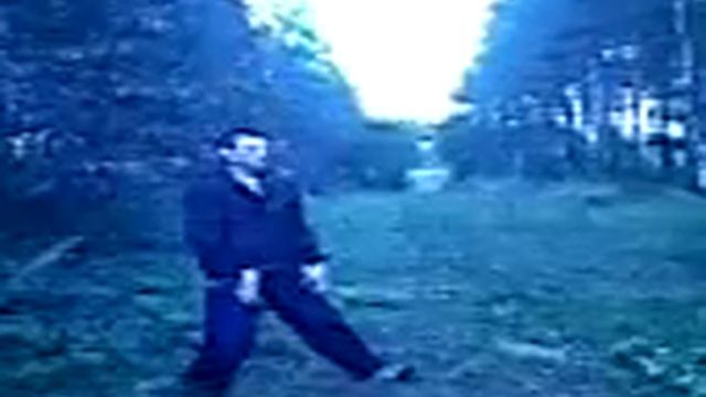 Таолу, даньши. Taolu