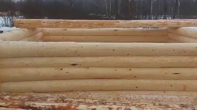 Февраль 2024. Сруб бани 4х5 в чашу с террасой 2 м с разверн? смотреть онлайн