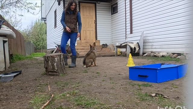  смотреть онлайн