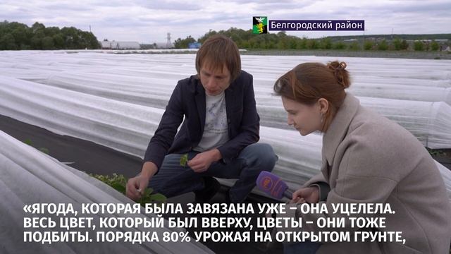 Несмотря на температурные качели, наши фермеры всё же смотреть онлайн