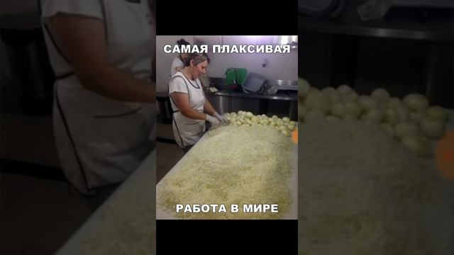 Приколы интернета ^^ 80 lvl смотреть онлайн