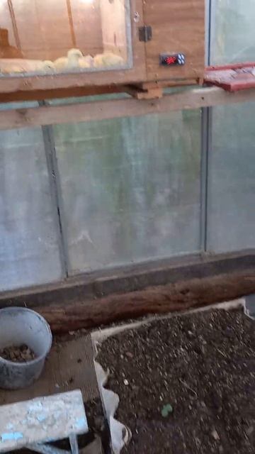 Крым теплица двойного назначения. 25 сентября2023