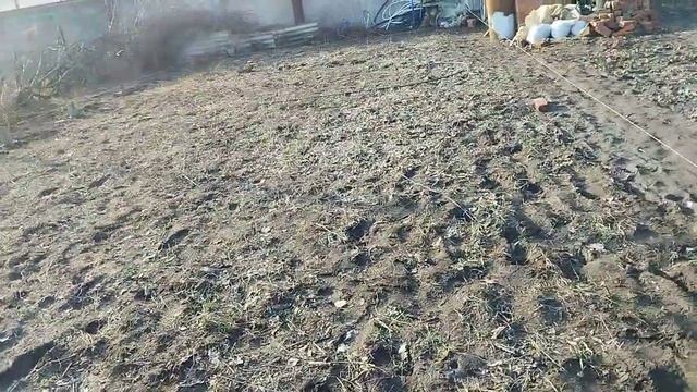 Начало постройки теплицы 8 на 30 метров. смотреть онлайн