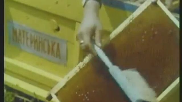 Медовый цветок СССР 198Х год смотреть онлайн