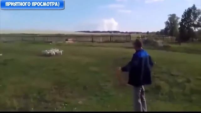 ЛУЧШИЕ ПРИКОЛЫ ДЛЯ ВЗРОСЛЫХ +18 • BEST COUB 2016 #3 смотреть онлайн