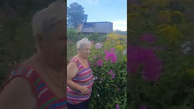 Хабаровске как Америка смотреть онлайн