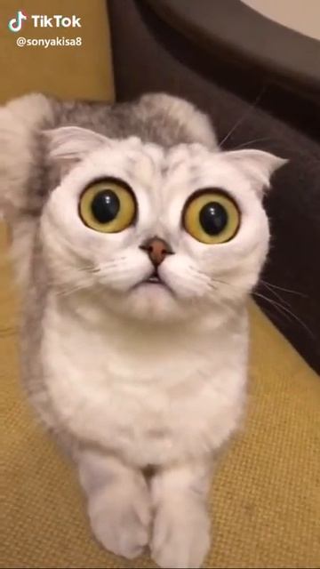 Мама шила мне штани