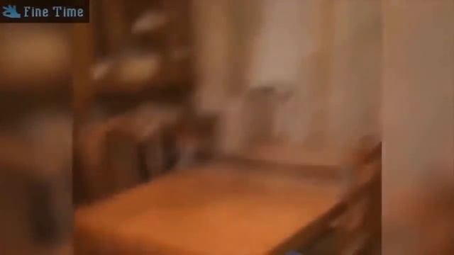 мои первые приколы смотреть онлайн