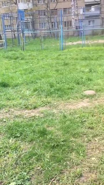 Детская площадка смотреть онлайн