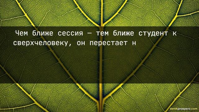 😍06.11.2022. Смешные цитаты, афоризмы и высказывания😍 смотреть онлайн