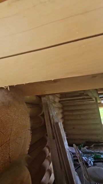 Строим 1-этажную баню из оцилиндрованного бревна. #дом? смотреть онлайн