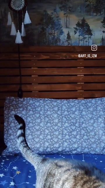 Шьём наволочку с котей смотреть онлайн