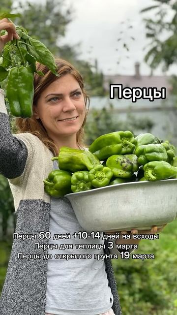 Когда сеять семена? Подписывайтесь на канал агронома смотреть онлайн