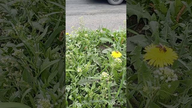 ВЕСНА ИДЕТ ,,,ВЕСНЕ ДОРОГА смотреть онлайн