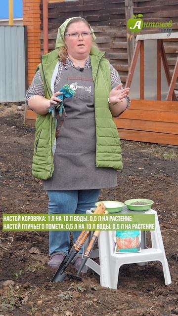 Чем подкормить клубнику #антоновсад #подкормка #земля смотреть онлайн