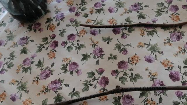 Опять посылка от Мансурова Сергея с черенками виногра смотреть онлайн