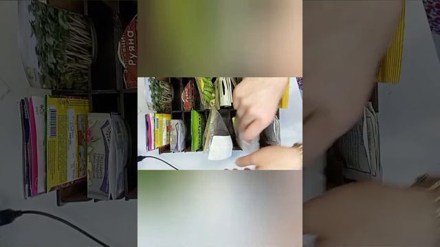 яшик для семян. как правильно организовать хранение с? смотреть онлайн