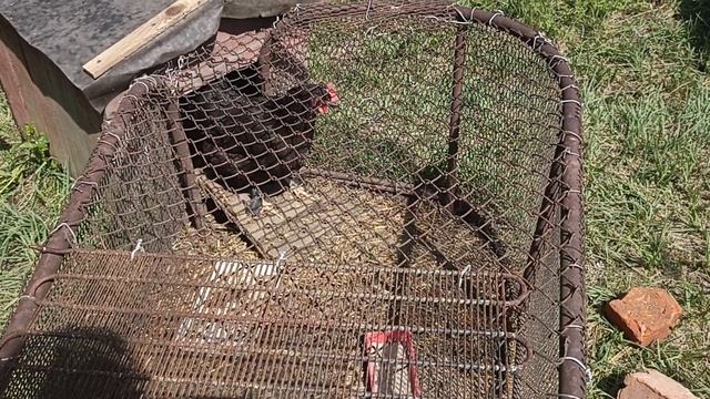 ВЛОГ: ОБОШЛИСЬ БЕЗ ПОТЕРЬ / ДЕЛО БЛИЗИТСЯ К ЗАВЕРШЕНИЮ/ НА КАРУСЕЛЯХ смотреть онлайн