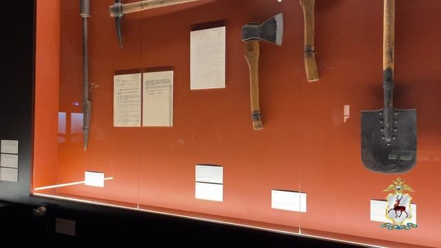 Сотрудники нижегородской полиции вместе с детьми посетили патриотическую выставку смотреть онлайн