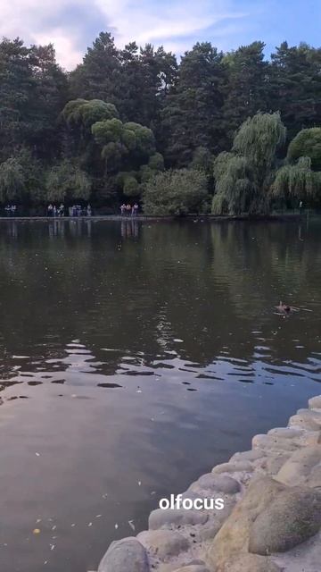 Зоопарк г.Новосибирска/ ZOO Novosibirsk смотреть онлайн